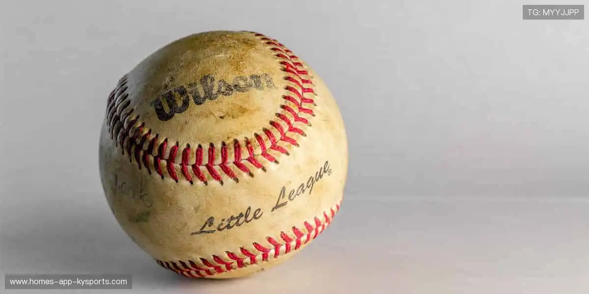 🎯 限量周边，粉丝专属！🎁